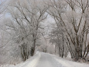 "Road in Winter" by Josef Petrek/Public Domain Pictures.net