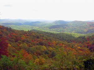 Fall in North Georgia